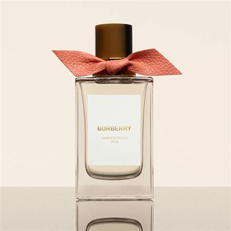 BURBERRY Parfum ️ online kaufen 